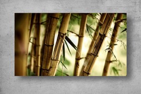 Tapet Premium Canvas - Ramuri de bambus abstract