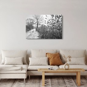 Tablou - Câmpuri în timpul iernii (90x60 cm)