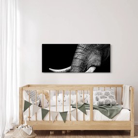 Tablou - Colți de elefant (120x50 cm)