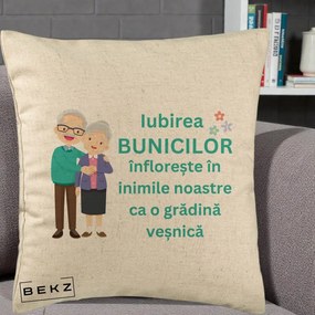 Cadou pentru Bunici - Perna Personalizata Bunicii Iubirea Infloreste Cuplu Senior Teal, 40x40 cm, Bej, Husa Detasabila, Perna Inclusa, BEKZ®