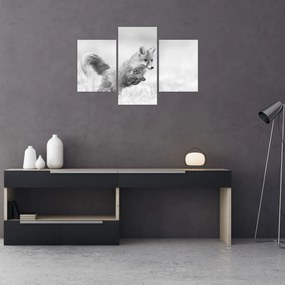 Tablou - Vulpe care sare,alb-negru (90x60 cm)