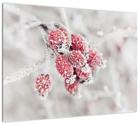 Tablou - Fructe congelate (70x50 cm)