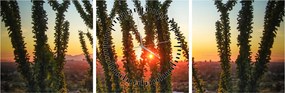 Tablou - Plante (cu ceas) (90x30 cm)