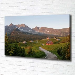 Tablouri tipărite pe pânză Glade în munții tatra