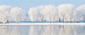 Tablou cu peisaj de iarnă (120x50 cm)