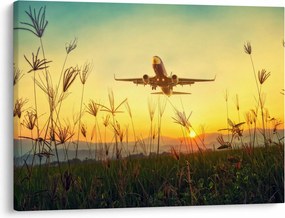 Tablou cu avion zburând (70x50 cm)