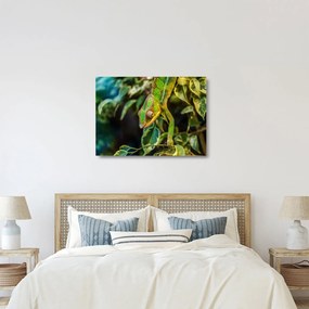 Tablou pe sticlă cu cameleon (70x50 cm)