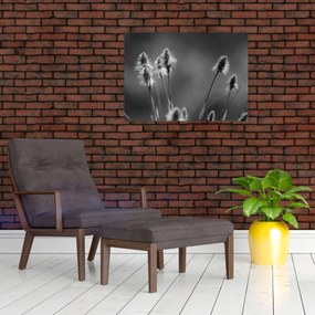 Tablou pe sticlă - Iarbă moale bej N⁰2 (70x50 cm)