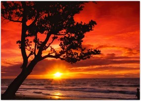 Tablou - Apus de soare (70x50 cm)