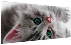 Tablou - Pisica cu ochi verzi (120x50 cm)