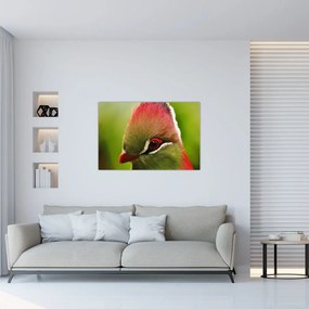 Tablou cu pasărea colorată (90x60 cm)