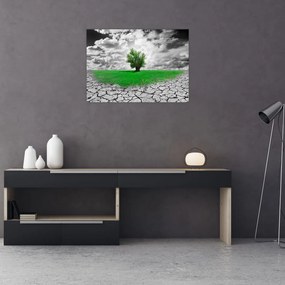 Tablou - O bucată de natură în oraș (70x50 cm)
