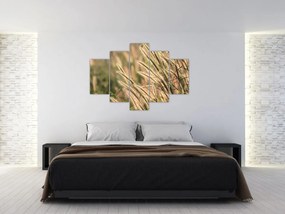 Tablou - Cereale (150x105 cm)