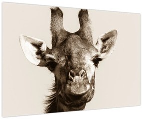 Tablou - Portret de girafă, de epocă (90x60 cm)