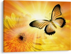 Tablou - Fluture galben cu flori (70x50 cm)