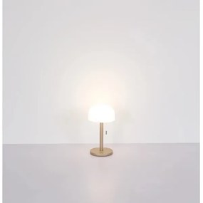 Lampă LED de masă Globo 21016CH NORMAN LED/1,5W/3,7V 3000/4200/6000K maro