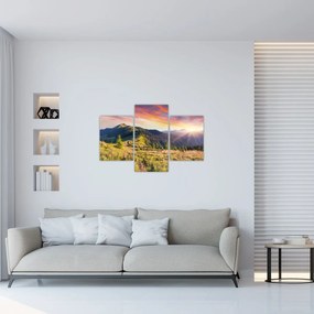 Tablou - Peisaj forestier (90x60 cm)