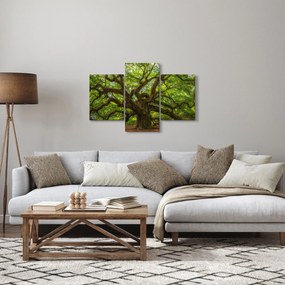 Tablou - Copac verde (90x60 cm)