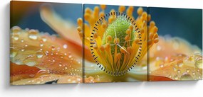 Tablou - Detaliu de floare (cu ceas) (90x30 cm)