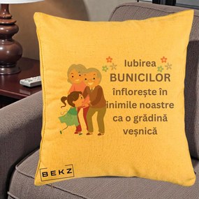 Cadou pentru Bunici - Perna Personalizata Bunicii Iubirea Infloreste Bunici cu Nepoata Colorat, 40x40 cm, Galben, Husa Detasabila, Perna Inclusa, BEKZ®