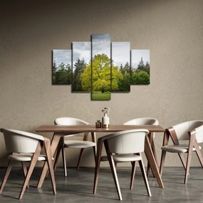Tablou - Copac verde în câmp (150x105 cm)