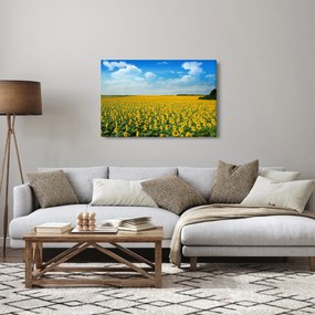 Tablou - câmp cu floarea soarelui (90x60 cm)