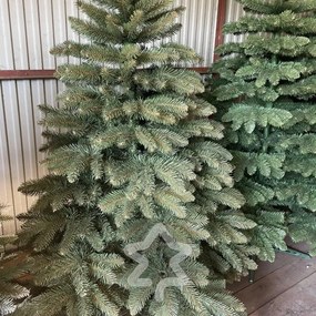 Molid Caucazian 2D 220 cm