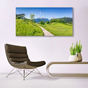 Tablou pe panza canvas Meadow Potecă Natura Verde Maro