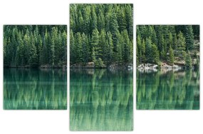Tablou - Coniferi lângă lac (90x60 cm)