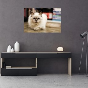 Tablou cu pisica albăr (90x60 cm)