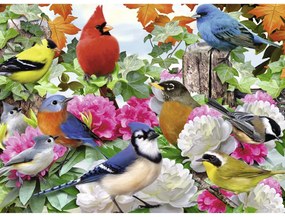 PUZZLE PASARI, 500 PIESE - RAVENSBURGER (RVSPA14223)