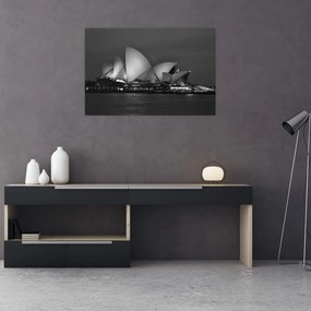 Tablou cu Opera din Sydney (90x60 cm)