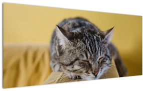Tablou cu pisica pe fotoliu (120x50 cm)