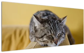Tablou cu pisica pe fotoliu (120x50 cm)