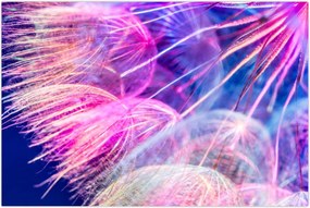 Tablou - Macro (90x60 cm)