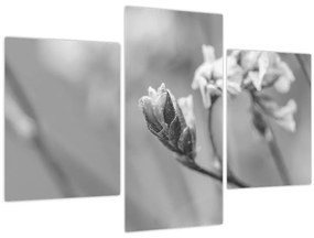 Tablou - Floare înflorită (90x60 cm)