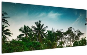 Tablou - palmierii (120x50 cm), în 40 de alte dimensiuni noi