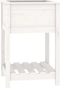 vidaXL Jardinieră cu raft, alb, 54x54x81 cm, lemn masiv de pin
