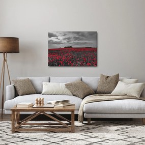 Tablou cu maci (70x50 cm)
