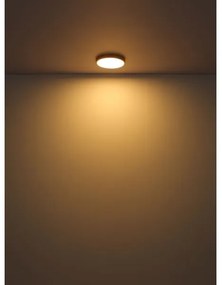 Plafonieră LED TIBEY LED/30W/230V d. 45 cm Globo 12381-30