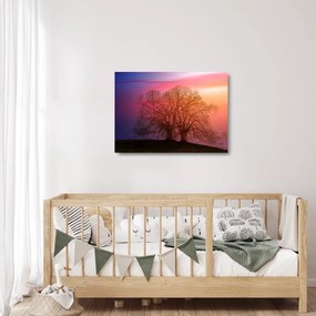 Tablou pe sticlă pomilor în ceață (70x50 cm)