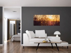Tablou - Câmp la apus de soare (120x50 cm)