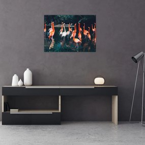 Tablou pe sticlă - turmă de flamingo (70x50 cm)
