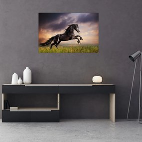 Tablou - Cai (90x60 cm)