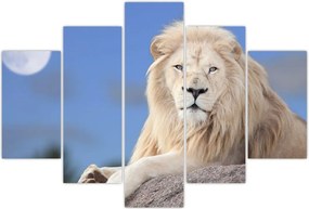 Tablou - Leu alb (150x105 cm)
