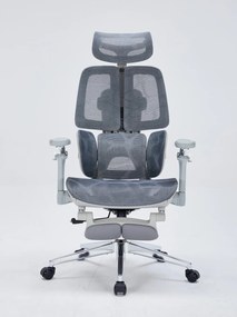 DeluxStar T10 Premium – Scaun ergonomic, cotiere 6D ultra moi, Suport Lombar 3 Zone Dinamice, Spătar ajustabil pe inaltime, Sezut Translatie, Tetiera 4D, mecanism multifunctional inclinare/blocare, pivotant, Mesh, Gri