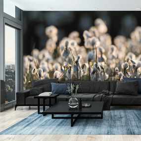 Fototapet - Floare de luncă (147x102 cm)