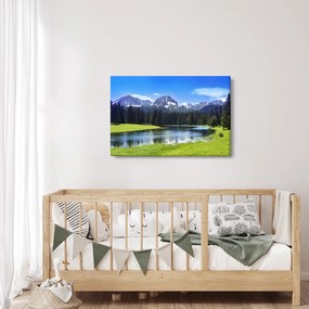 Tablou - vâfurile montane înzăpezite (90x60 cm)