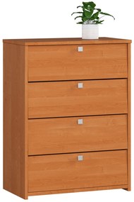 Pantofar Meher (arin). 1069003