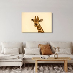 Tablou cu girafe (90x60 cm)